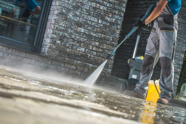 Animal Enclosure Cleaning in Gaylord, MI